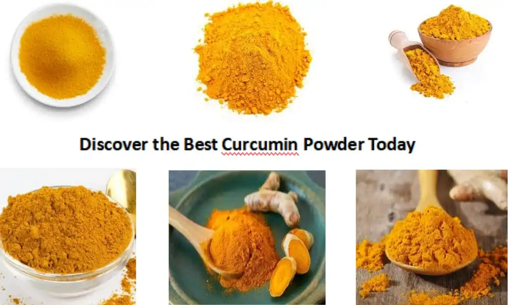 Discover the Best Curcumin Powder Today